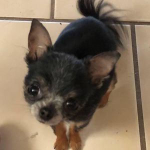 Meet your Posher, William